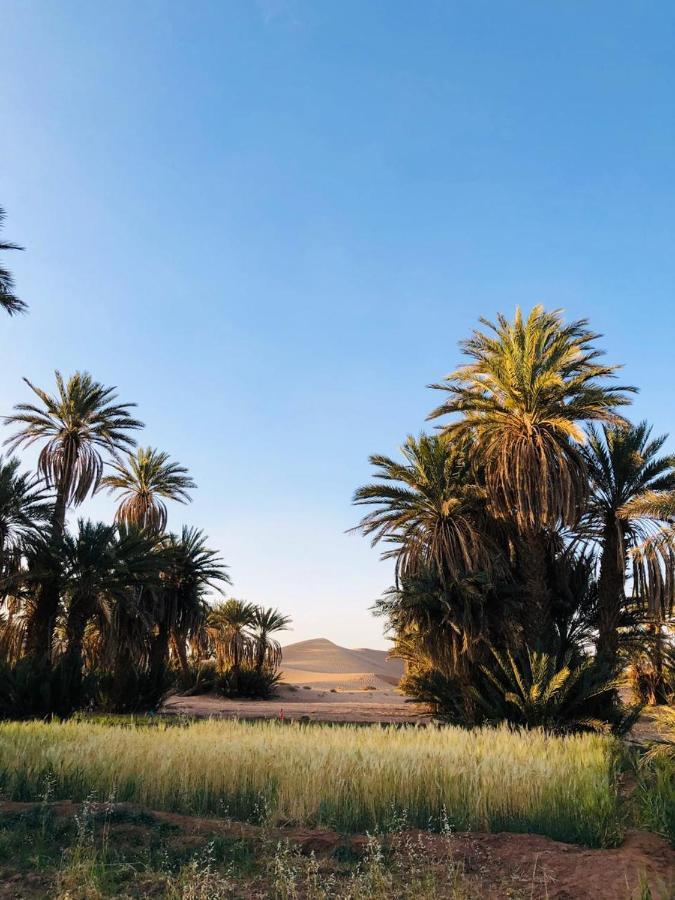 Camp Auberge Sahara Marokko M'Hamid Buitenkant foto